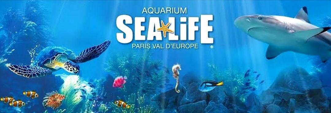 Appartement Spacieux Disneyland - La Vallee Village - 6 Personnes - 60M2 Saint-Germain-sur-Morin 外观 照片